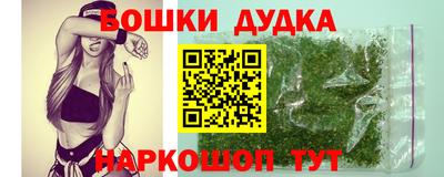 амф Кандалакша
