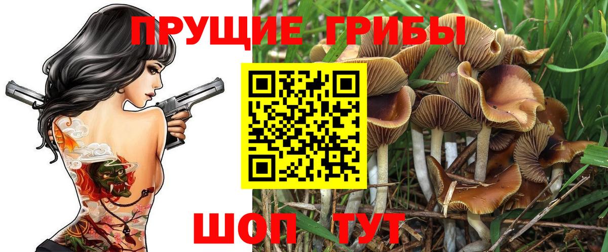Галлюциногенные грибы Psilocybine cubensis  Вход с VPN  Красноуфимск 